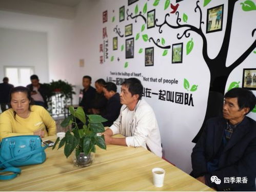 科技引领发展 技术服务做实 四季香公司果业社会化服务新路径